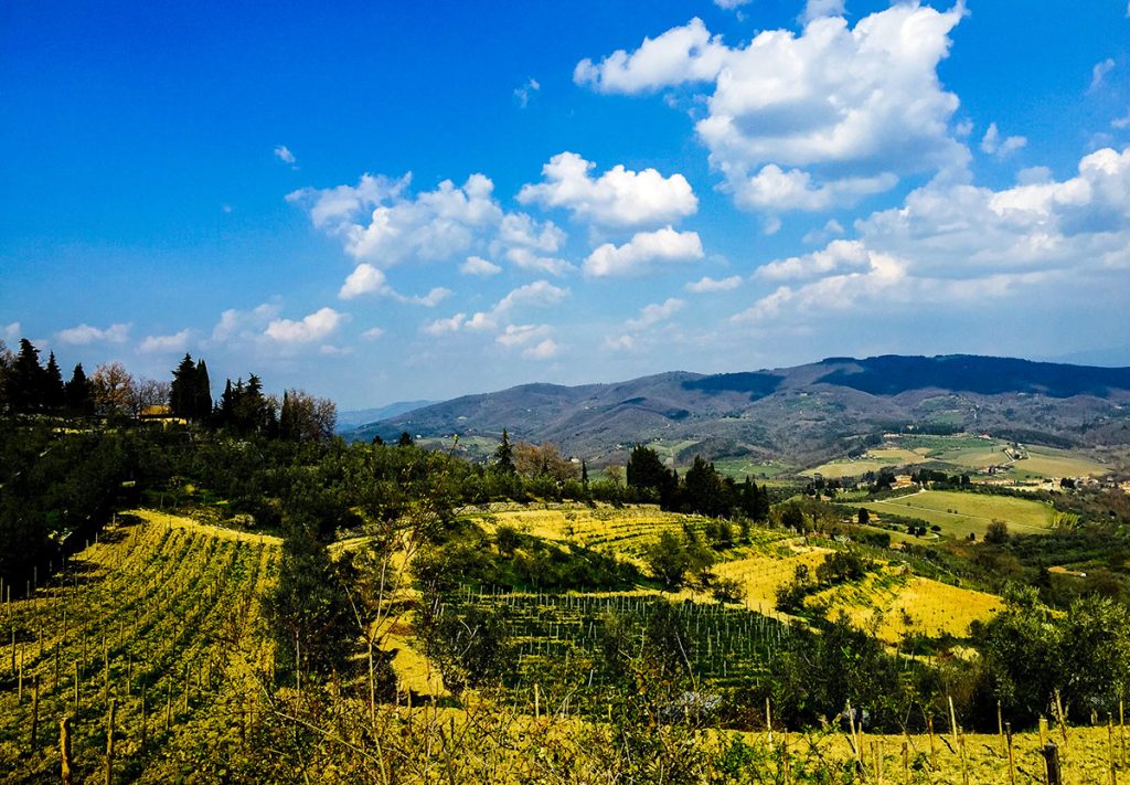 Chianti, Toscana (© Darko Perunicic)