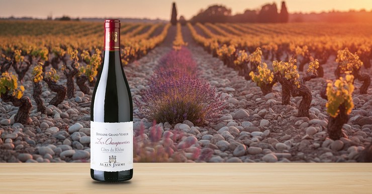 Alain Jaume Domaine Grand Veneur Les Champauvins