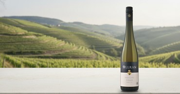 Allram Grüner Veltliner Strass