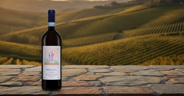 Barbera d'Alba il Cerreto