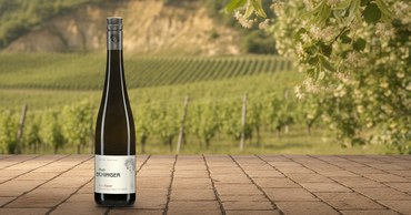 Birgit Eichinger Grüner Veltliner Ried Hasel