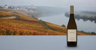 Domaine Guiberteau Saumur Blanc