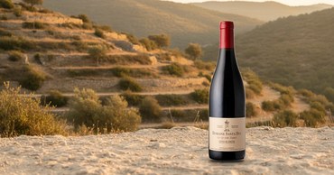 Domaine Santa Duc Les Quatre Terres
