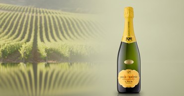 Julià & Navinès Cava Organic Semi Seco