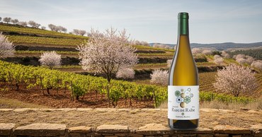 Raig de Raïm Celler Piñol