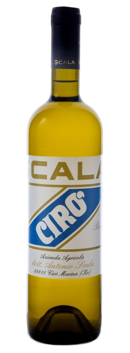 Flaska med gulgrönt vin, svart kapsyl med texten Scala och en vit etikett med guldfärgad SCALA-text och en blå diagonal banderoll med ordet Cirò. Scala Cirò Bianco, flaska. Flaska med gulgrönt vin, svart kapsyl med texten Scala och en vit etikett med guldfärgad SCALA-text och en blå diagonal banderoll med ordet Cirò.