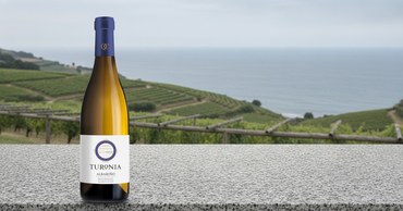 Turonia Albariño