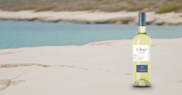 Vermentino di Sardegna Arenu