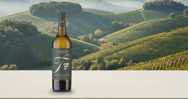 Weingut Tement Ehrenhausen Korallenkalk